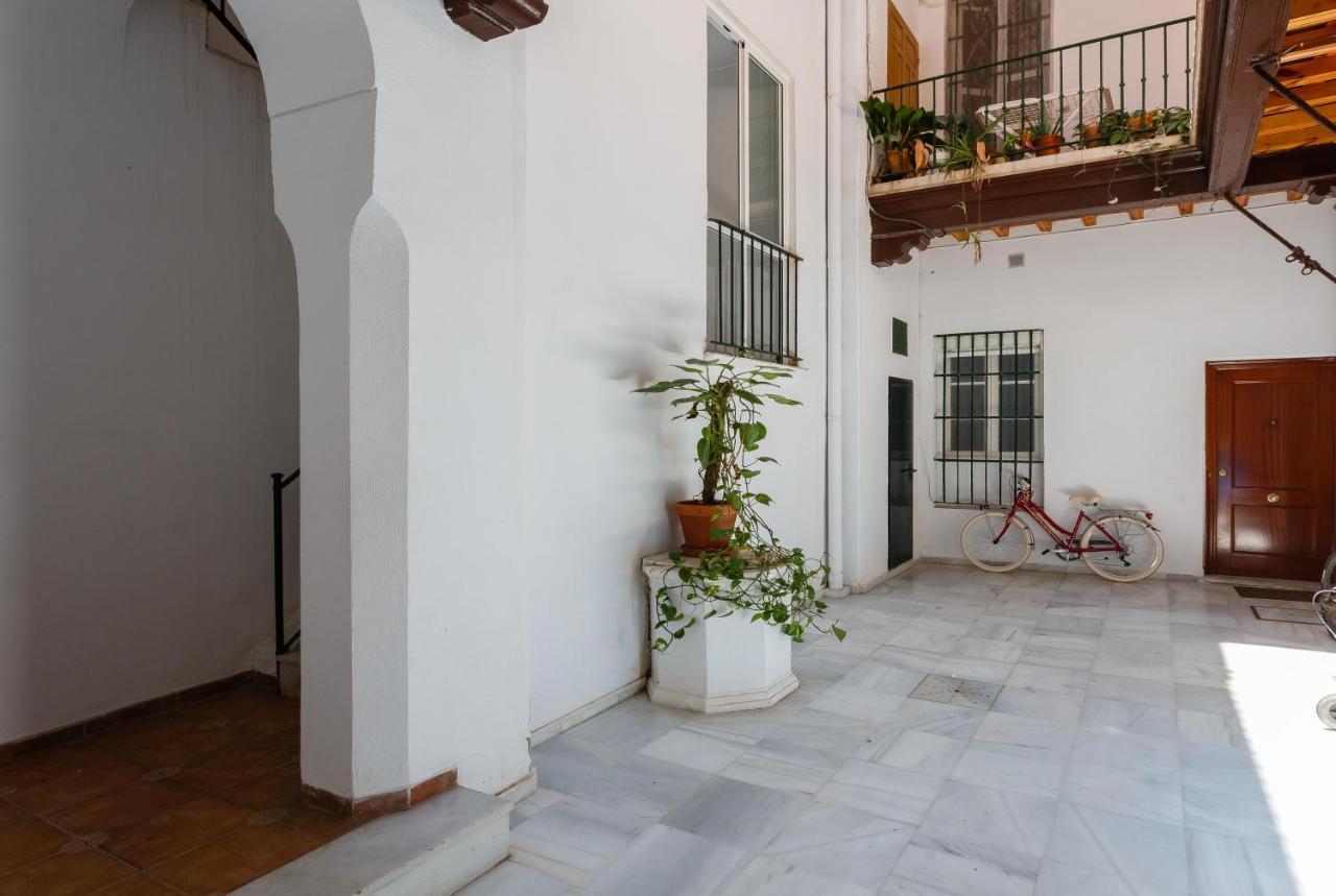 La Casa Del Arte Cadiz Daire Dış mekan fotoğraf
